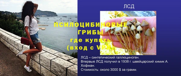 дживик Арсеньев