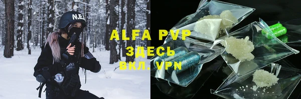 дживик Арсеньев